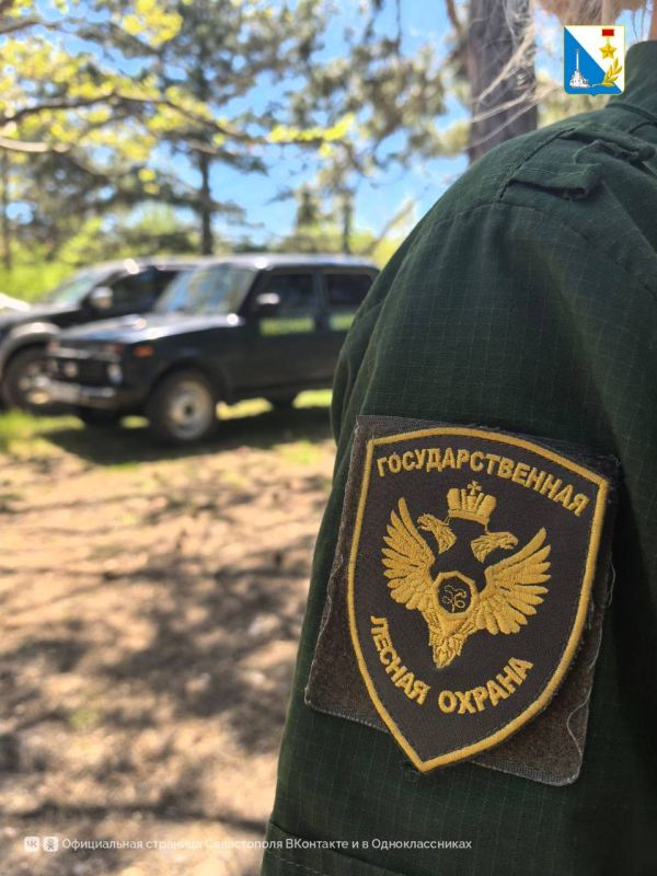 Лесники совместно с МЧС и МВД России по Севастополю проводят рейды на лесных территориях Лесники совместно с МЧС и МВД России по Севастополю проводят рейды на лесных территориях