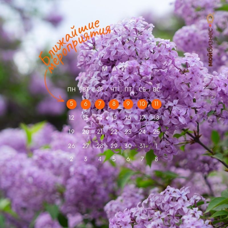 Ближайшие мероприятия: 5 – 11 мая