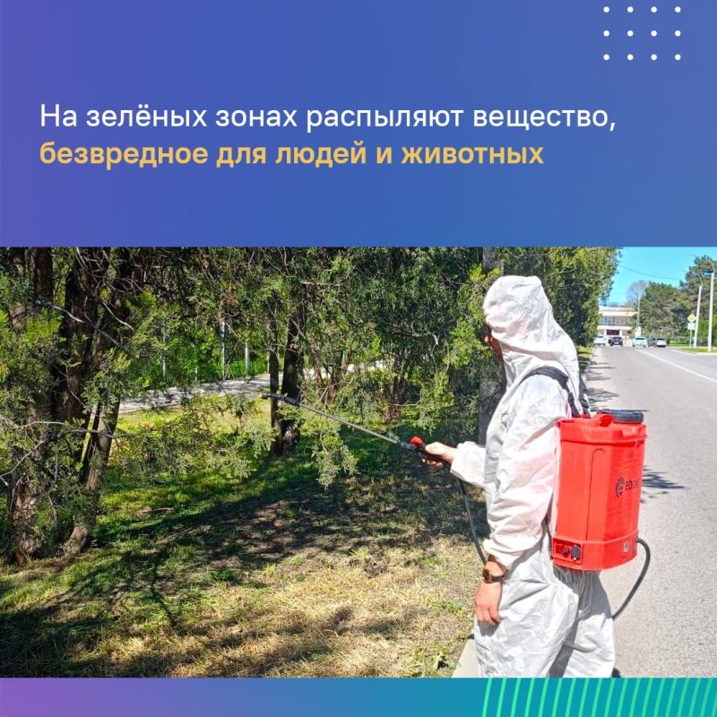 Стоп клещи. В столице Крыма обрабатывают зеленые зоны от паразитов Стоп клещи. В столице Крыма обрабатывают зеленые зоны от паразитов