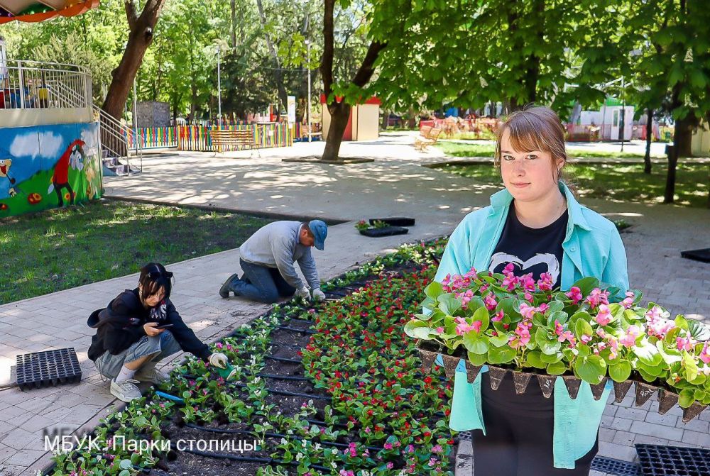 Весенняя высадка цветов продолжается: работы проходят в парке им. Гагарина Весенняя высадка цветов продолжается: работы проходят в парке им. Гагарина