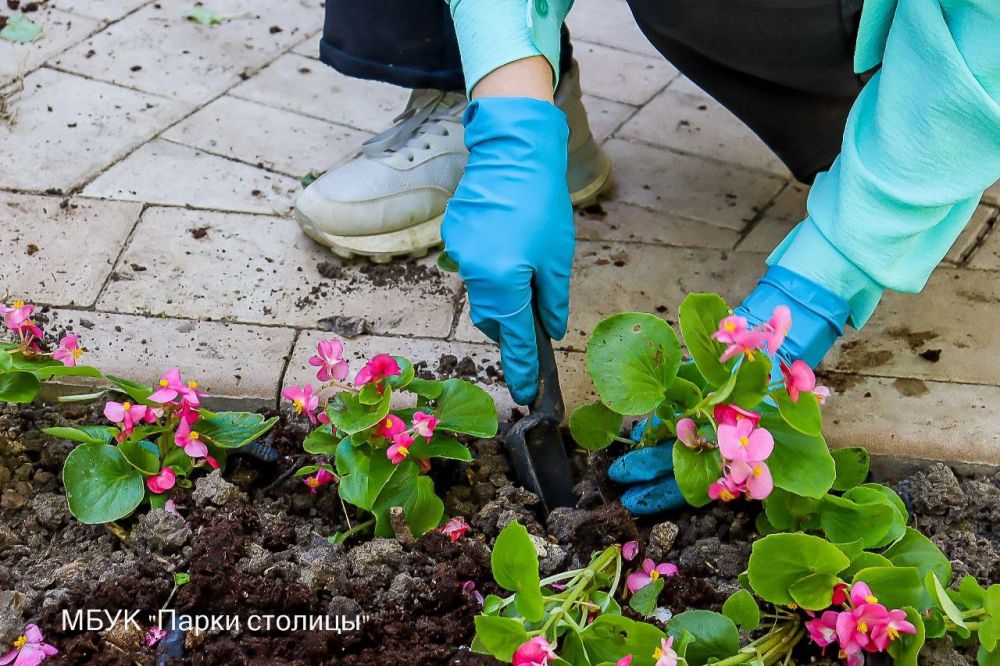 Весенняя высадка цветов продолжается: работы проходят в парке им. Гагарина Весенняя высадка цветов продолжается: работы проходят в парке им. Гагарина