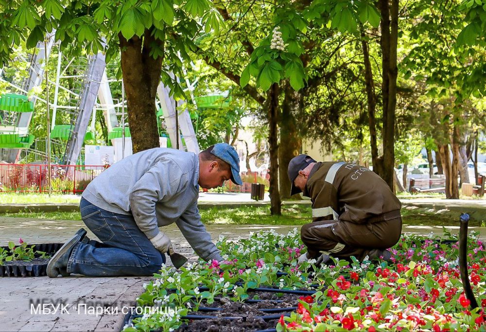 Весенняя высадка цветов продолжается: работы проходят в парке им. Гагарина Весенняя высадка цветов продолжается: работы проходят в парке им. Гагарина