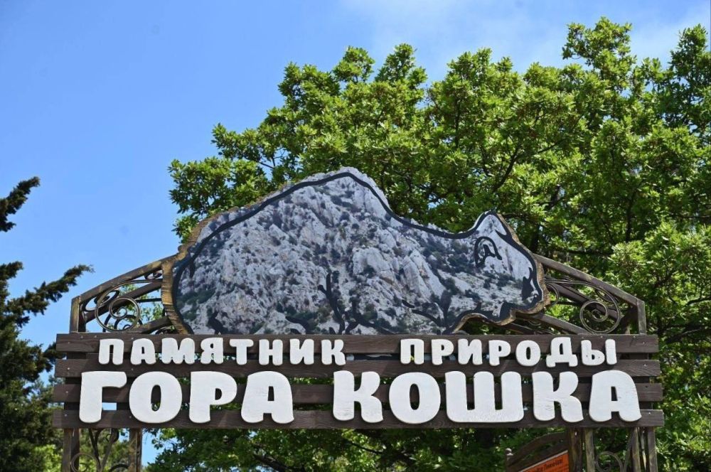 Ольга Шевцова: Крым всегда готов удивить гостей своими красотами и невероятными пейзажами Ольга Шевцова: Крым всегда готов удивить гостей своими красотами и невероятными пейзажами