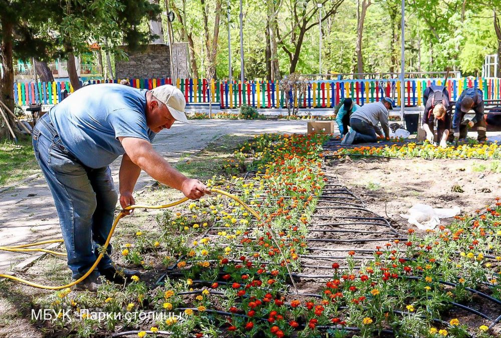 В симферопольском парке имени Гагарина высадили четыре тысячи бархатцев В симферопольском парке имени Гагарина высадили четыре тысячи бархатцев