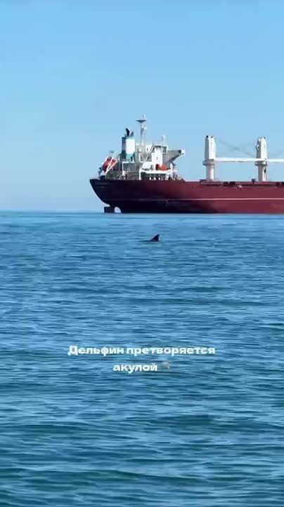  ,       ,   