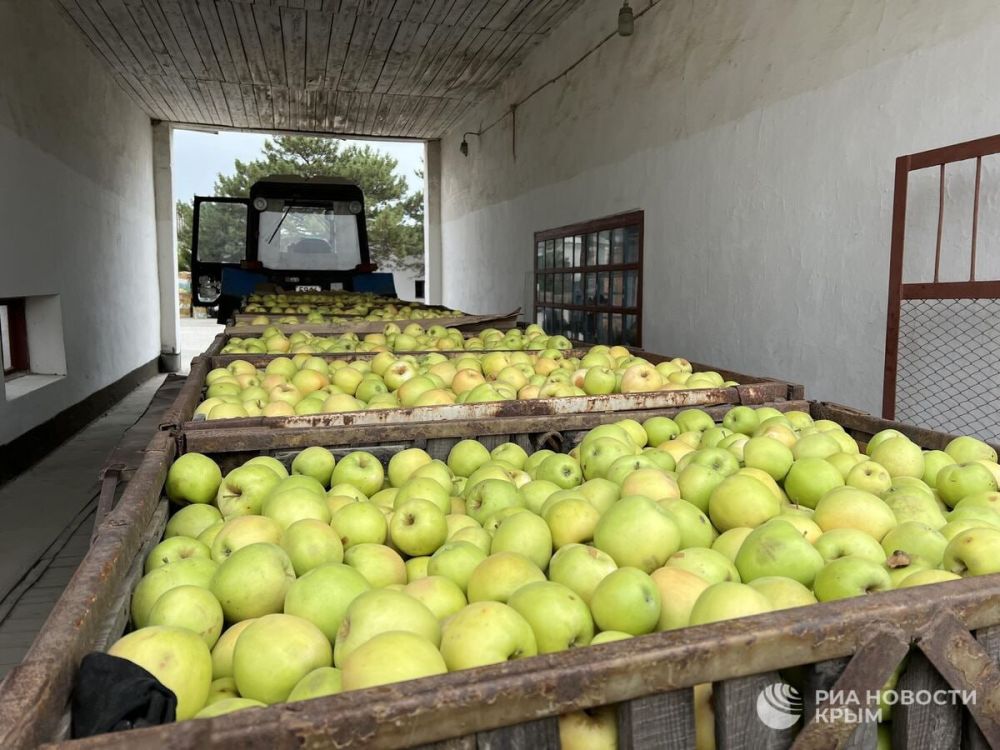 Апрель подкинул проблем для крымского урожая