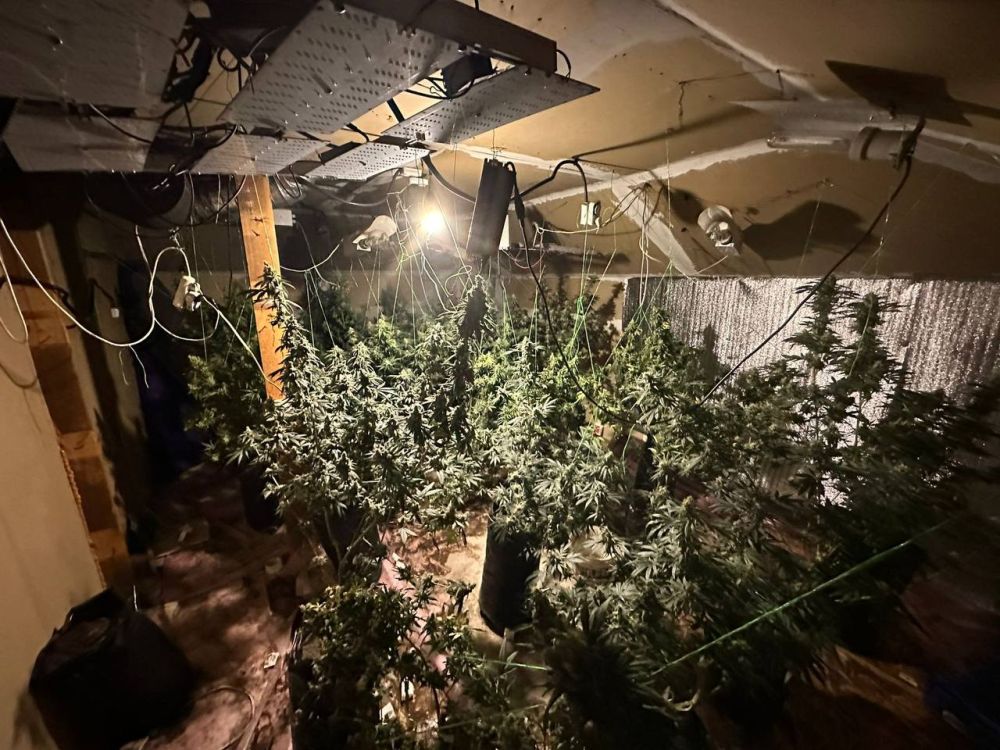 ������ ������ ������� ����� � ������ ���������� ������