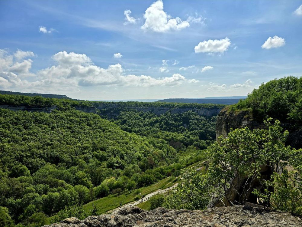 Сергей Колясников: И это тоже Крым