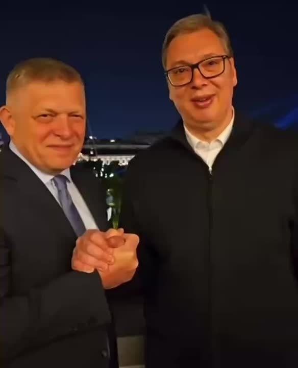 «Сербы и словаки братья навек»