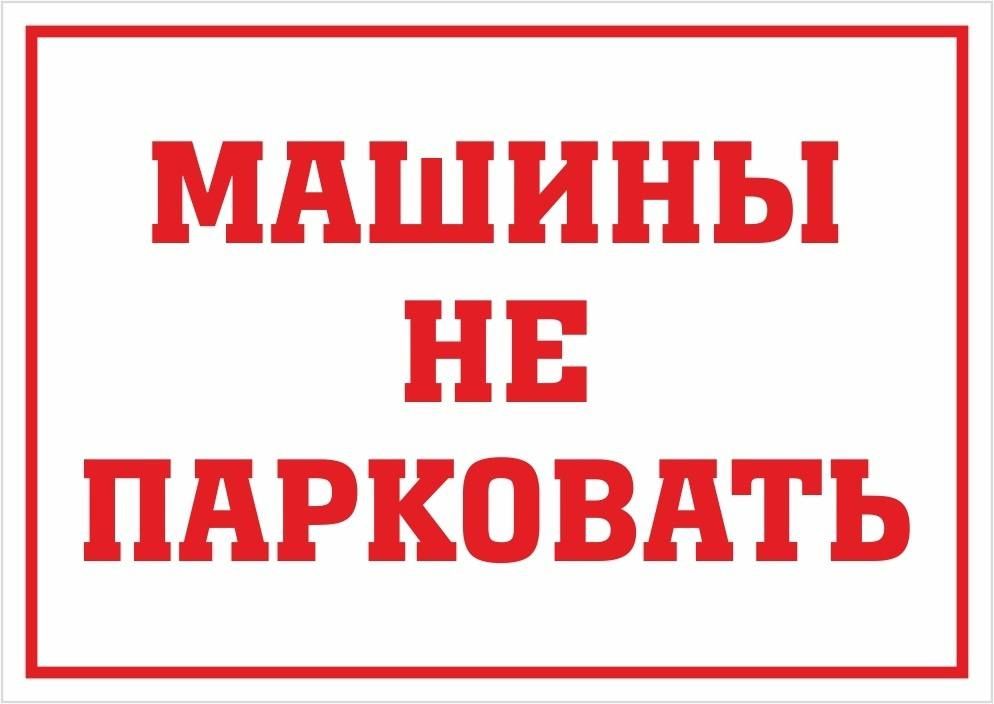 !  !.  ! , 11 ,  20.00  &quot;-&quot;     ,          