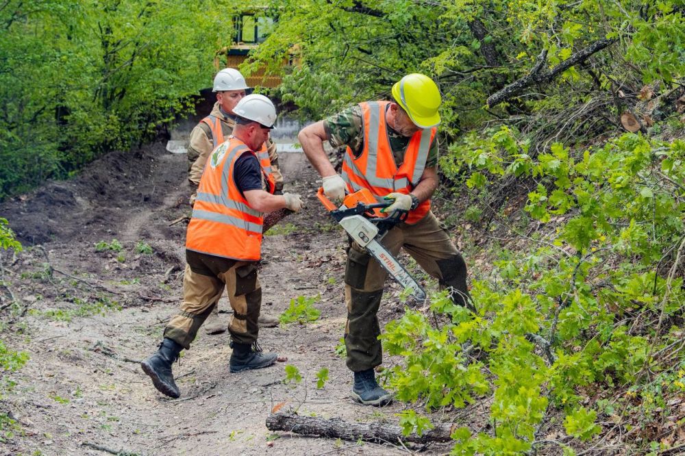В Севастополе усиливают защиту лесов от пожаров