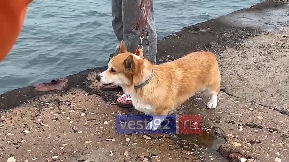  , !    ,  