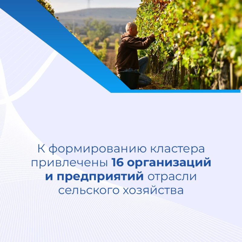 В этом году в Крыму появится образовательно-производственный кластер «Профессионалитет в отрасли сельского хозяйства» В этом году в Крыму появится образовательно-производственный кластер «Профессионалитет в отрасли сельского хозяйства»