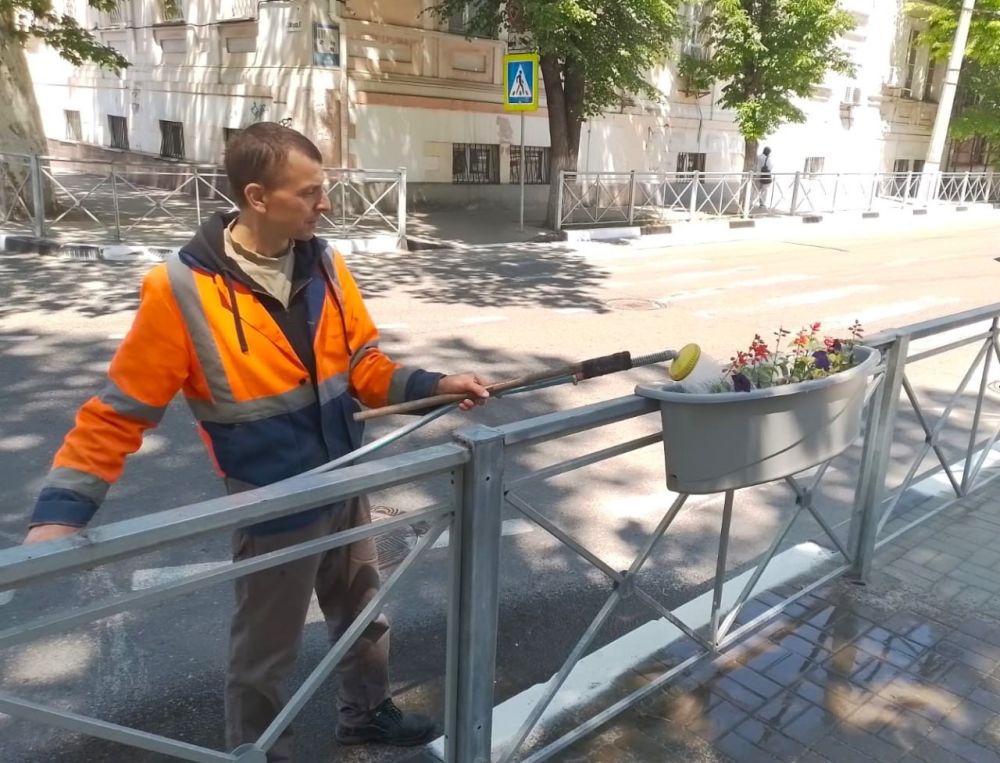 В Симферополе продолжается озеленение В Симферополе продолжается озеленение