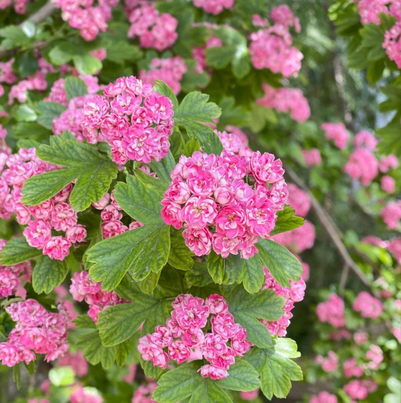 ������ �� 13 ��� � ��������� �����: