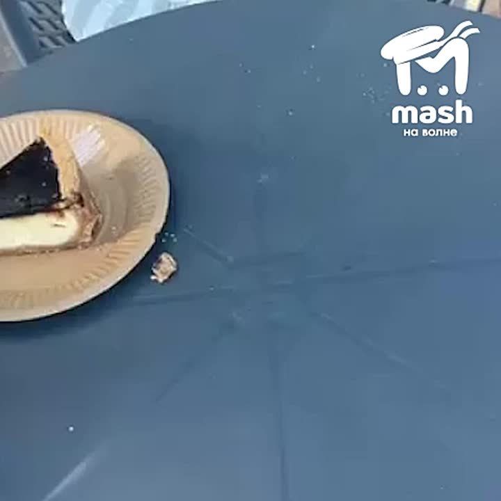  , .      