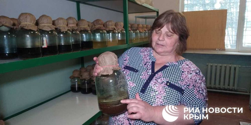В Крыму создали уникальный препарат для роста урожайности В Крыму создали уникальный препарат для роста урожайности