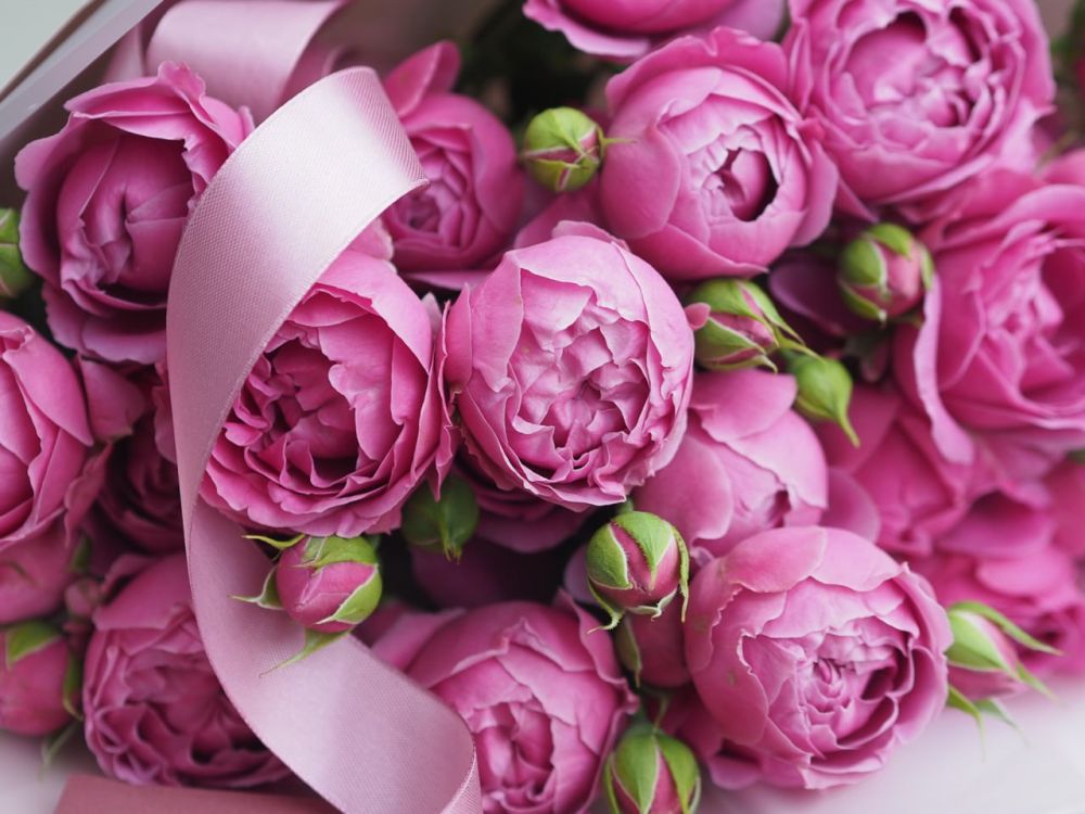 ������ � ����� 15 ���. 15 ��� � ����� ��� ������������ �������