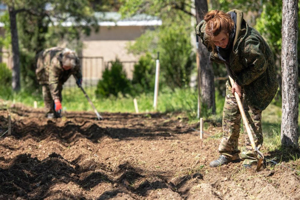 Ежегодно на территории лесохозяйственных учреждений Республики Крым выращивается более 2 млн Ежегодно на территории лесохозяйственных учреждений Республики Крым выращивается более 2 млн