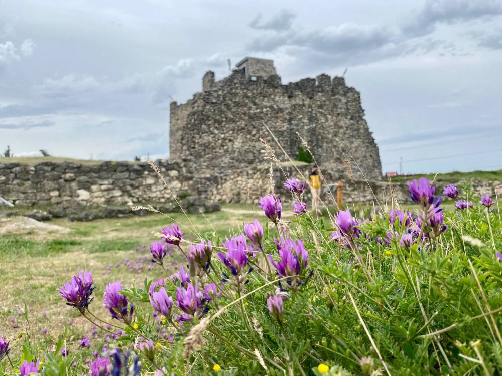 Иван Мезюхо: Там, где паслись козы, теперь ходят экскурсии