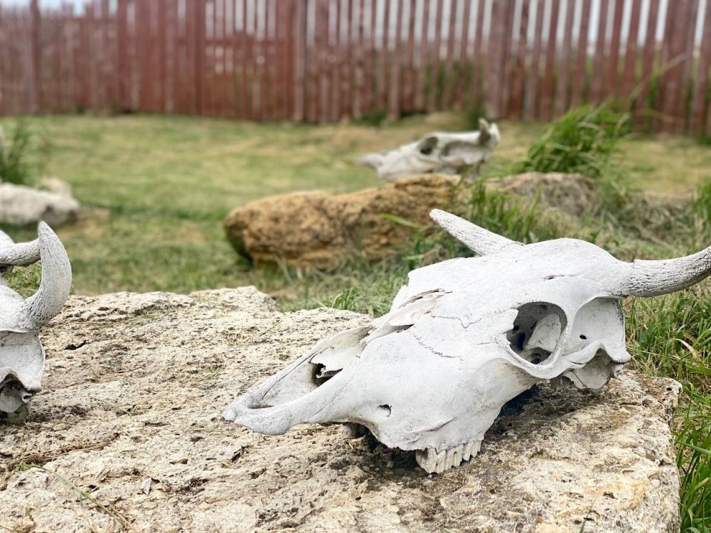 Иван Мезюхо: Там, где паслись козы, теперь ходят экскурсии Иван Мезюхо: Там, где паслись козы, теперь ходят экскурсии