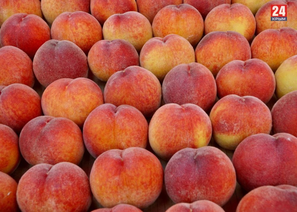 � ����� ������ �����, ������� � ������� ��������� �� 20% ��-�� �������� ����������