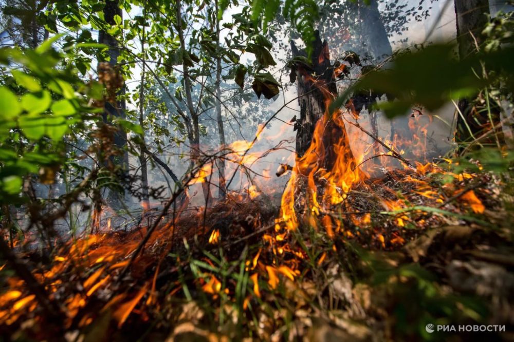 � ����� �������� 9 ������� �� ��������� �����