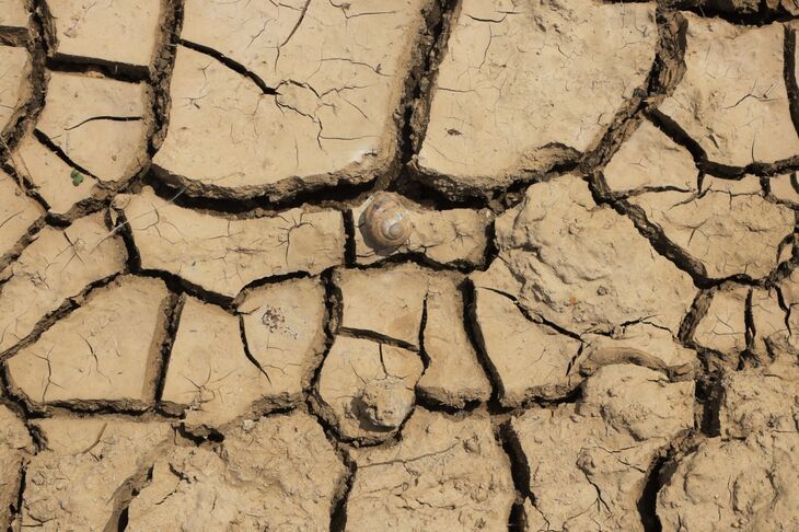 ��������� ������ ����������� ����� �� ���� �������������������� ������� �����