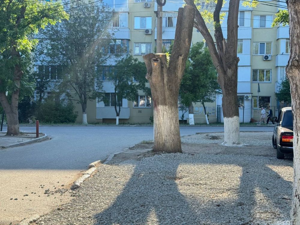 На участке, прилегающем к ЦРБ, проведены работы по засыпке щебнем и выравниванию поверхности На участке, прилегающем к ЦРБ, проведены работы по засыпке щебнем и выравниванию поверхности