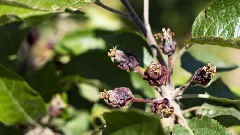 � ����� ����� ������ ����� �� ��-�� ������ ����� ������