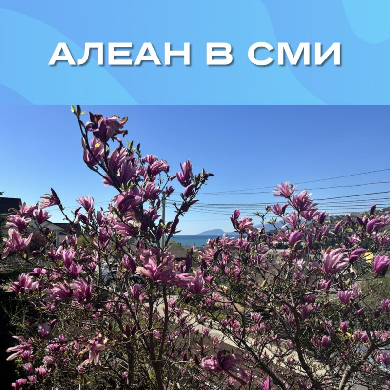 Где и в каком месяце можно посетить ароматные лавандовые поля, сфотографироваться с цветущей магнолией и найти редкие горные лилии? И в какую сумму обойдется поездка по цветочным маршрутам России?