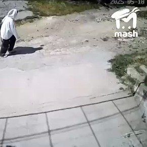    ,      100 ,   ,       