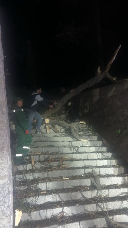 Ночной ветер повредил три подземных кабеля в Массандре Ночной ветер повредил три подземных кабеля в Массандре