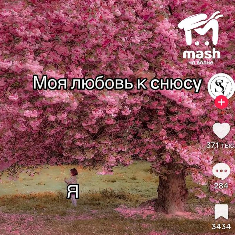 Пропавшая школьница из Симферополя, которую три дня искали больше 100 человек, ушла из дома, потому что мама нашла у нее снюс Пропавшая школьница из Симферополя, которую три дня искали больше 100 человек, ушла из дома, потому что мама нашла у нее снюс