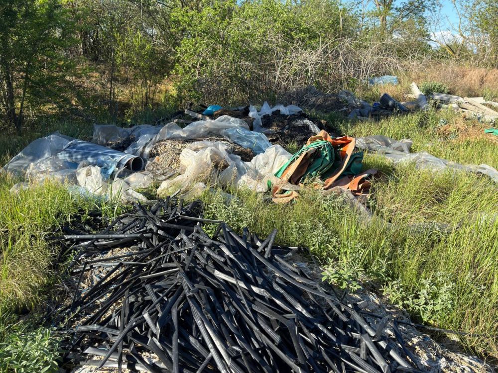 ����� ������: ������� ���������� ��������� � ������������� ����������� ��������� ��������� ��������� ������� � ������������ ������� ������� �� ��������� � ������������������� ������������� ������