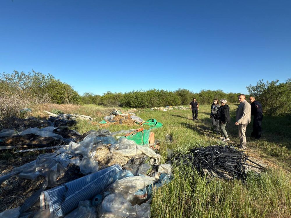 ����� ������: ������� ���������� ��������� � ������������� ����������� ��������� ��������� ��������� ������� � ������������ ������� ������� �� ��������� � ������������������� ������������� ������