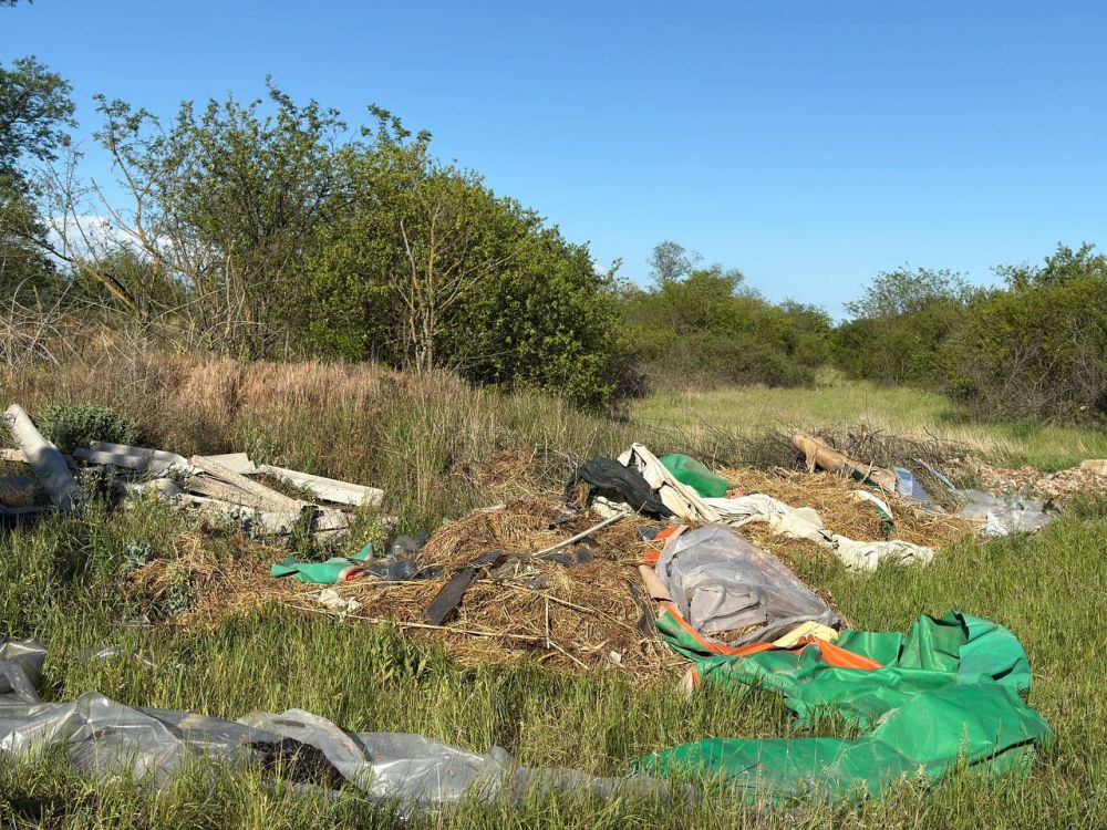 ����� ������: ������� ���������� ��������� � ������������� ����������� ��������� ��������� ��������� ������� � ������������ ������� ������� �� ��������� � ������������������� ������������� ������