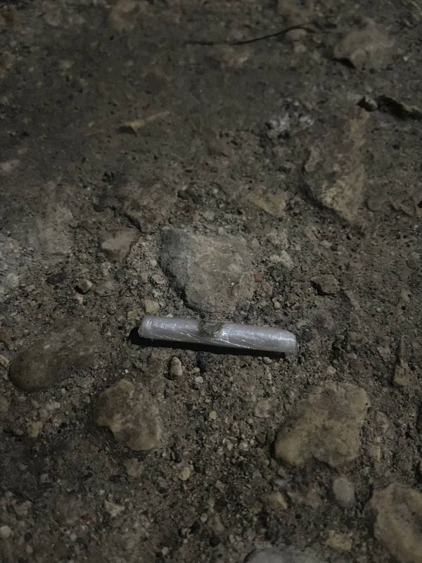 22-летняя жительница Севастополя может сесть в тюрьму на 20 лет за работу наркокурьером