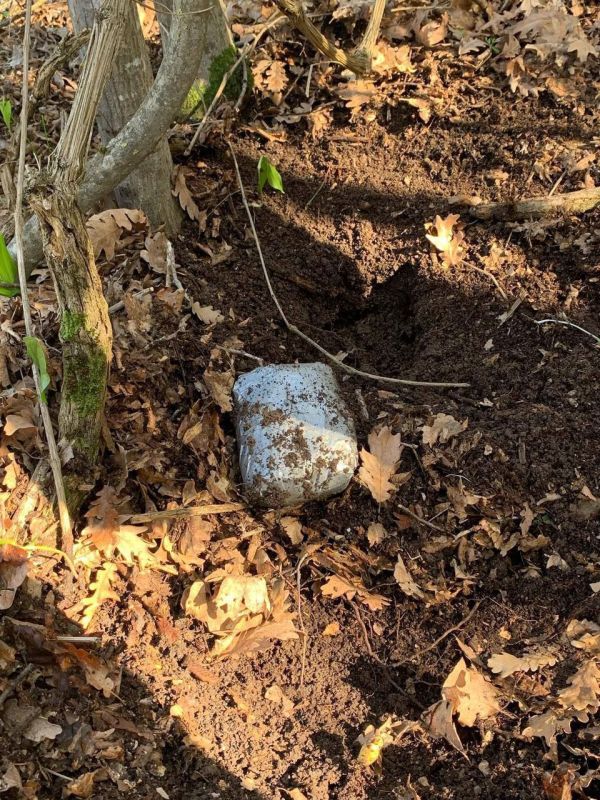 22-летняя жительница Севастополя может сесть в тюрьму на 20 лет за работу наркокурьером 22-летняя жительница Севастополя может сесть в тюрьму на 20 лет за работу наркокурьером