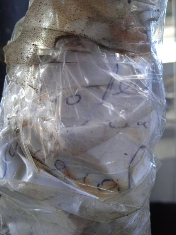 ����� �������: ��������� �������������� �������� ��������� �� ������������ �������� ��� ������������� � �������