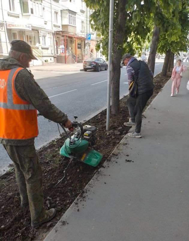 Ухоженные и красивые газоны — залог привлекательности нашего города! Ухоженные и красивые газоны — залог привлекательности нашего города!