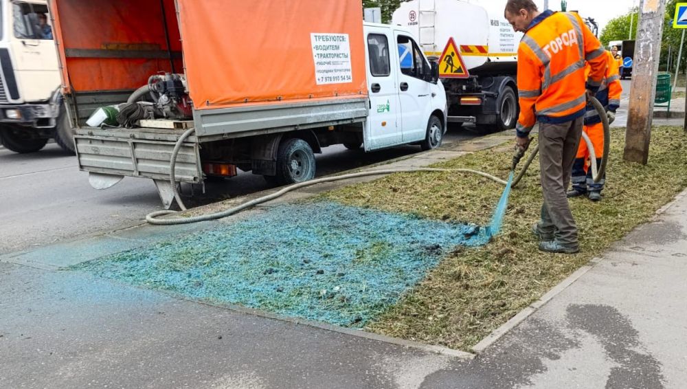 Ухоженные и красивые газоны — залог привлекательности нашего города! Ухоженные и красивые газоны — залог привлекательности нашего города!