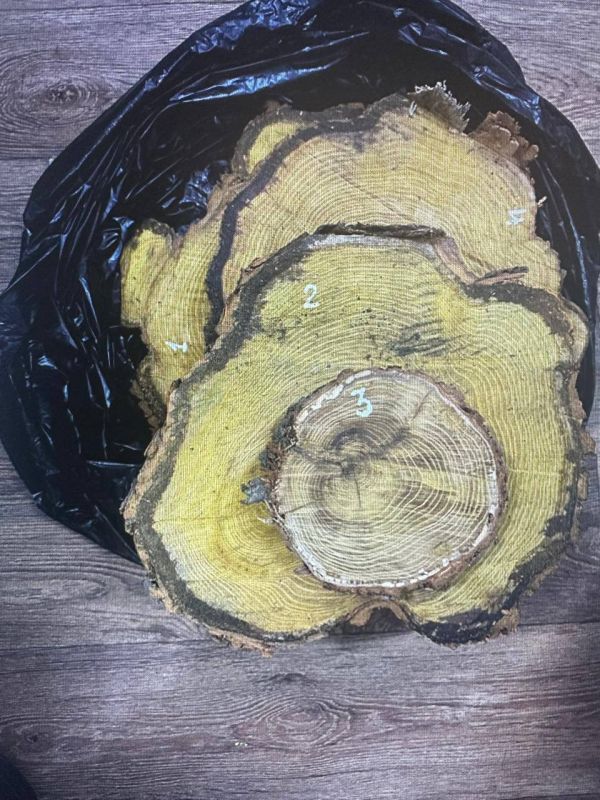 � ��������� ������ ������� ������� �� ���������� ������� ��������