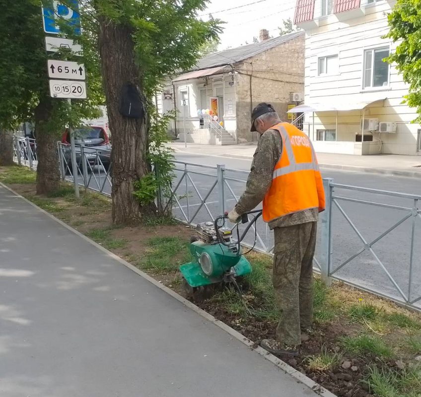 Ухоженные и красивые газоны — залог привлекательности нашего города! Ухоженные и красивые газоны — залог привлекательности нашего города!