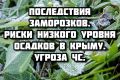          :  
