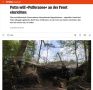 Spiegel ,            ,          