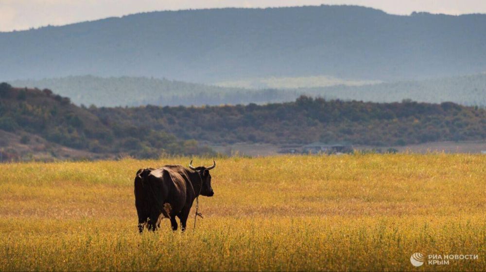 ����� ���� ����� �������� ����� ����������������� ��������� �������� ���������������