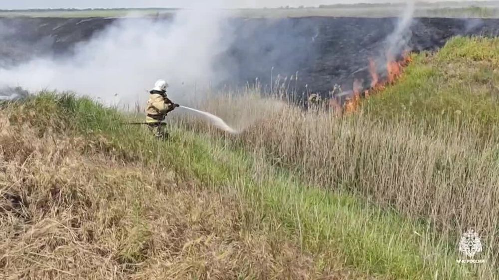 � ��������� ������ ����� ����� �� 100 �