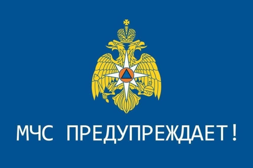 (    ѻ)