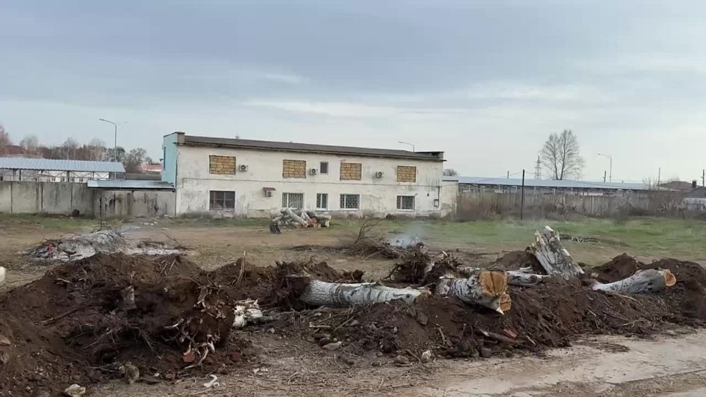 ����� ������: � ������� ������������ � 2025 ���� �������� ��� (������������-��������������� ��������)